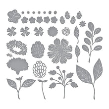Load image into Gallery viewer, Dies:  Spellbinders - VIVID BLOOMS ETCHED DIES FROM THE VIVID EXPRESSIONS COLLECTION