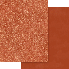 Load image into Gallery viewer, 8.5x11 Paper: Wonder of Oz-Patterns & Solids Pack