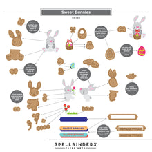 Load image into Gallery viewer, Dies: SPELLBINDERS-BUNNY BUDDIES ETCHED DIES BY SIMON HURLEY