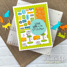 Load image into Gallery viewer, 6x6 Paper: Newton’s Nook-A Cat’s Life