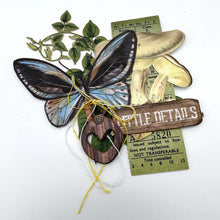Load image into Gallery viewer, Scrapbooking: 49 And Market Cluster Kit-Nature Study