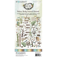 Load image into Gallery viewer, Embellishments: 49 and Market-Nature Study Laser Cut Outs-General Elements