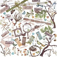 Load image into Gallery viewer, Embellishments: 49 and Market-Nature Study Laser Cut Outs-General Elements