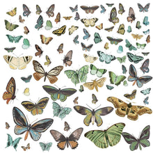 Load image into Gallery viewer, Embellishments: 49 and Market-Nature Study Laser Cut Outs-Wing Elements