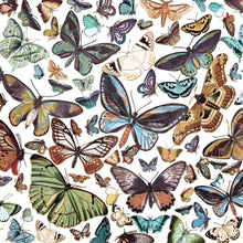 Load image into Gallery viewer, Embellishments: 49 and Market-Nature Study Laser Cut Outs-Wing Elements