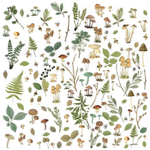 Load image into Gallery viewer, Embellishments: 49 and Market-Nature Study Laser Cut Outs-Mushrooms & Foliage