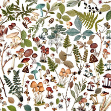 Load image into Gallery viewer, Embellishments: 49 and Market-Nature Study Laser Cut Outs-Mushrooms & Foliage