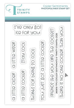 Load image into Gallery viewer, Stamps: Trinity Stamps Cooler Sentiments 3x4 Stamp Set