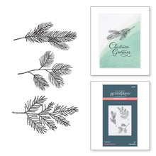 Load image into Gallery viewer, Better Press: Spellbinders-EVERGREEN BRANCHES PRESS PLATE FROM THE BETTERPRESS CHRISTMAS COLLECTION