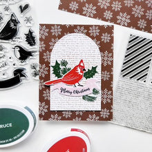 Load image into Gallery viewer, Dies: Catherine Pooler Designs- Birds & Boughs