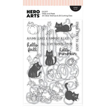 Load image into Gallery viewer, Stamp and Die Combo: Hero Arts-Hide and Peek