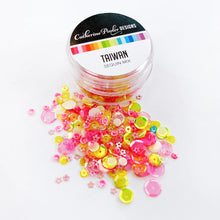 Load image into Gallery viewer, Embellishments: Catherine Pooler Designs-Taiwan Sequin Mix