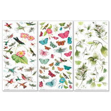 Load image into Gallery viewer, Embellishments: 49 And Market Rub-On Transfer Set-Botanical, Kaleidoscope