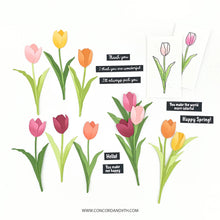 Load image into Gallery viewer, Dies: Concord & 9th-Tulip Festival