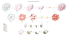 Load image into Gallery viewer, Bundle: Altenew-Craft Your Life Project Kit: Lush Garden