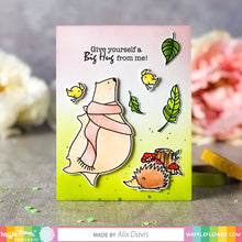 Load image into Gallery viewer, Stamp and Die Combo: Waffle Flower-Blessed Bear