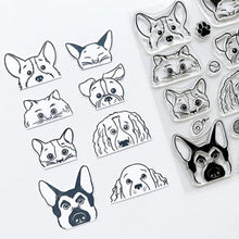 Load image into Gallery viewer, Stamps: Catherine Pooler Designs-More Peeking Pets Stamp Set