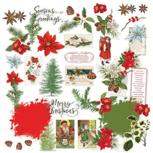 Load image into Gallery viewer, Embellishments: 49 And Market Acetate Assortment Set-Evergreen Season
