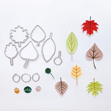 Load image into Gallery viewer, Dies: Catherine Pooler Designs-Changing Leaves Dies
