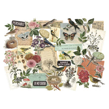 Load image into Gallery viewer, Embellishments: Tim Holtz Idea-ology Layers Organic
