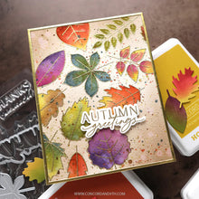 Load image into Gallery viewer, Stamps: Kristina Werner with C&amp;9-Thankful Leaves
