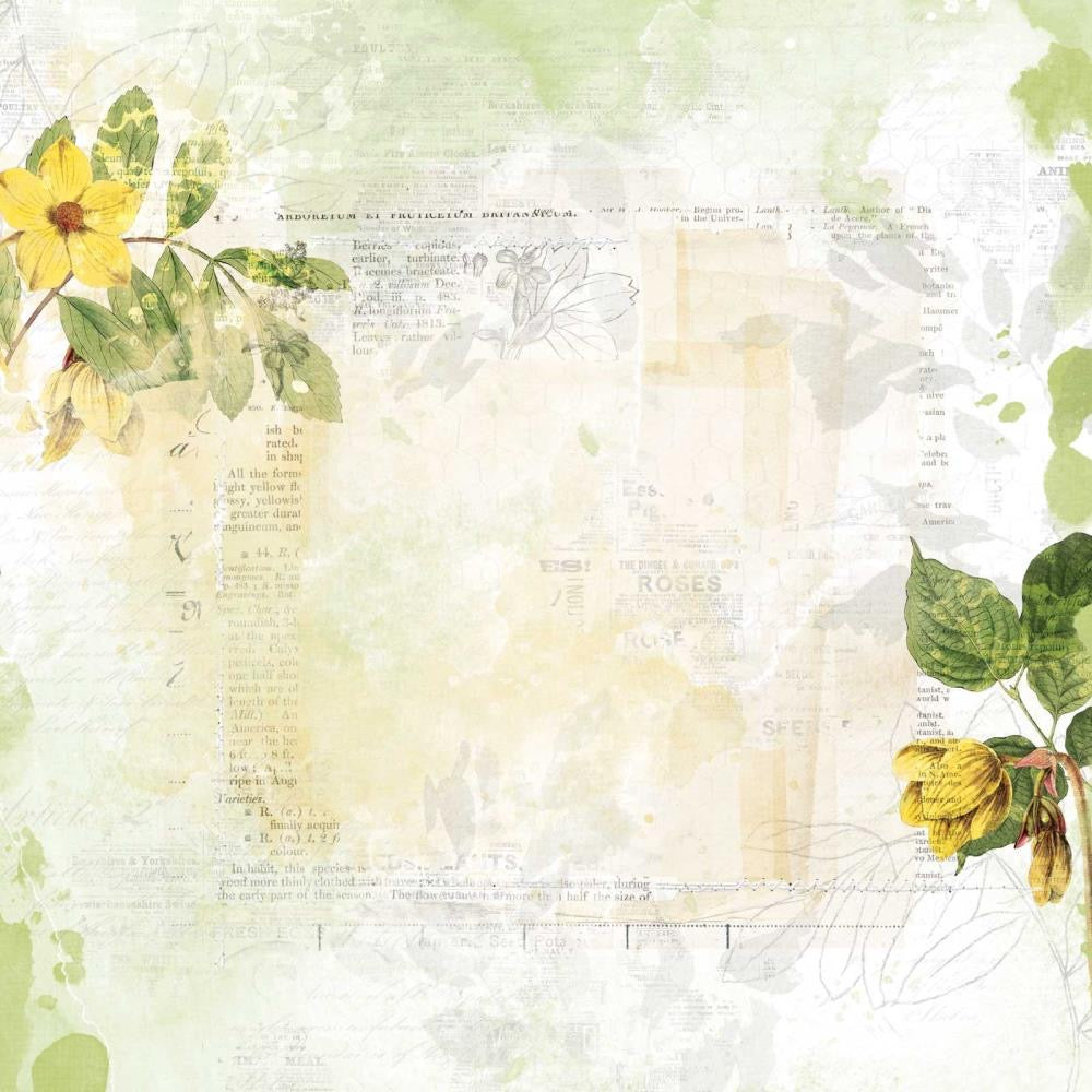 12x12 Paper: 49 and Market Vintage Artistry Countryside Double-Sided Cardstock-Radiance