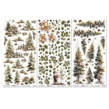 Load image into Gallery viewer, Embellishments: 49 And Market-Blendable Rub-On Transfer Set 6"X12"-Timber and Tweed

