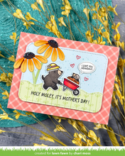 Load image into Gallery viewer, Stamp:  Lawn Fawn - a mole lot of flowers
