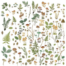 Load image into Gallery viewer, Embellishments: 49 and Market-Nature Study Laser Cut Outs-Mushrooms &amp; Foliage
