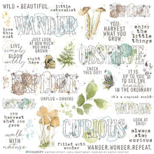 Load image into Gallery viewer, Embellishments: 49 and Market-Nature Study Rub-Ons 12&quot;X12&quot; 1/Sheet-Sentiments
