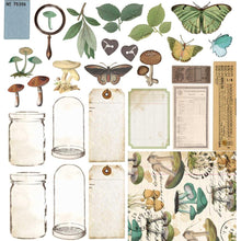 Load image into Gallery viewer, 12x12 Paper Kit: 49 And Market Collection Pack 12&quot;X12&quot; -Nature Study
