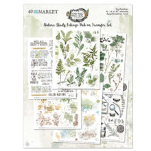 Load image into Gallery viewer, Embellishments: 49 and Market Nature Study Rub-Ons 6&quot;X8&quot; 6/Sheets-Foliage
