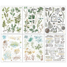 Load image into Gallery viewer, Embellishments: 49 and Market Nature Study Rub-Ons 6&quot;X8&quot; 6/Sheets-Foliage
