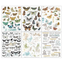 Load image into Gallery viewer, Embellishments: 49 and Market-Nature Study Rub-Ons 6&quot;X8&quot; 6/Sheets-Wings
