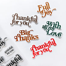 Load image into Gallery viewer, Stamps: Catherine Pooler Designs-Joyful Thanks Sentiment Stamp Set
