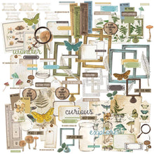 Load image into Gallery viewer, Embellishments: 49 and Market Nature Study Ephemera Bits-
