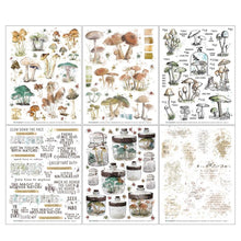 Load image into Gallery viewer, Embellishments: 49 and Market-Nature Study Rub-Ons 6&quot;X8&quot; 6/Sheets
