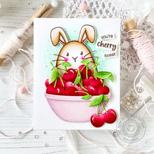 Load image into Gallery viewer, Dies: Sunny Studio Stamps-Wild Cherry Dies
