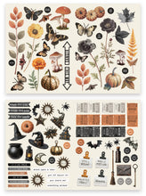 Load image into Gallery viewer, Embellishments:Arden Creative Studio-Wicked Woods Laser Cuts
