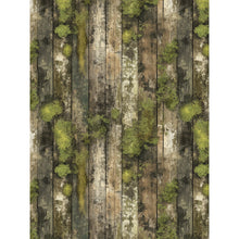 Load image into Gallery viewer, 6x8 Paper: 49 and Market- Campfire Memories Collection Pack
