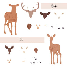 Load image into Gallery viewer, Dies: Honey Bee Stamps-Lovely Layers: Deer
