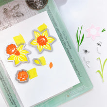 Load image into Gallery viewer, Dies: Catherine Pooler Designs-Daffodil Blooms Dies
