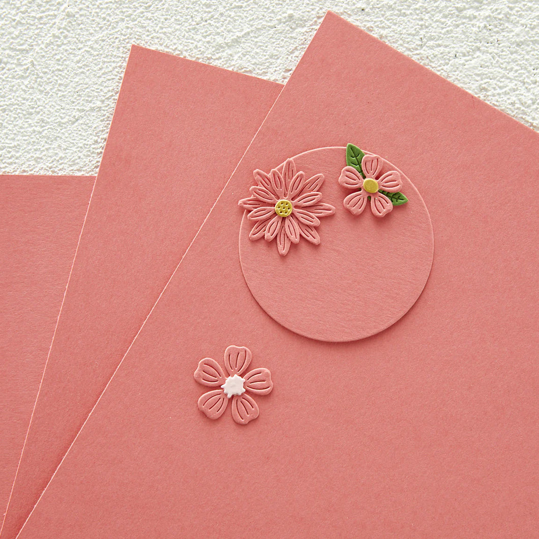 8.5x11 Cardstock: Spellbinders