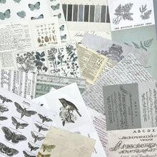 Load image into Gallery viewer, Scrapbooking and Mixed Media: 49 And Market Collage Sheets 6&quot;X8&quot; 40/Pkg-Color Swatch: Eucalyptus
