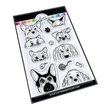 Load image into Gallery viewer, Stamps: Catherine Pooler Designs-More Peeking Pets Stamp Set
