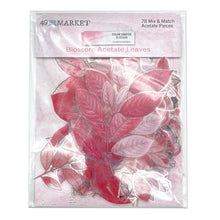 Load image into Gallery viewer, Embellishments: 49 and Market-Color Swatch Blossom Acetate Leaves
