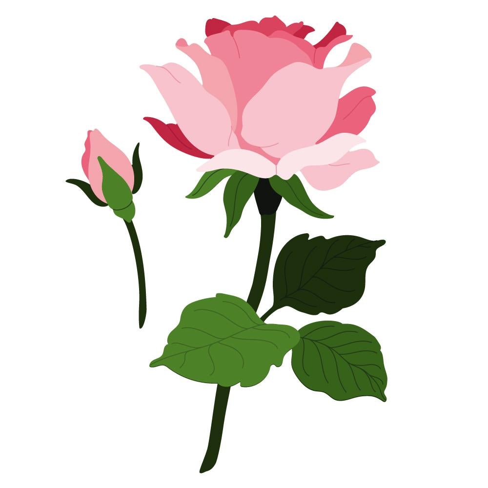 Dies: Honey Bee Stamps-Lovely Layers: Roses | Honey Cuts